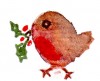 robin-and-holly--100x81